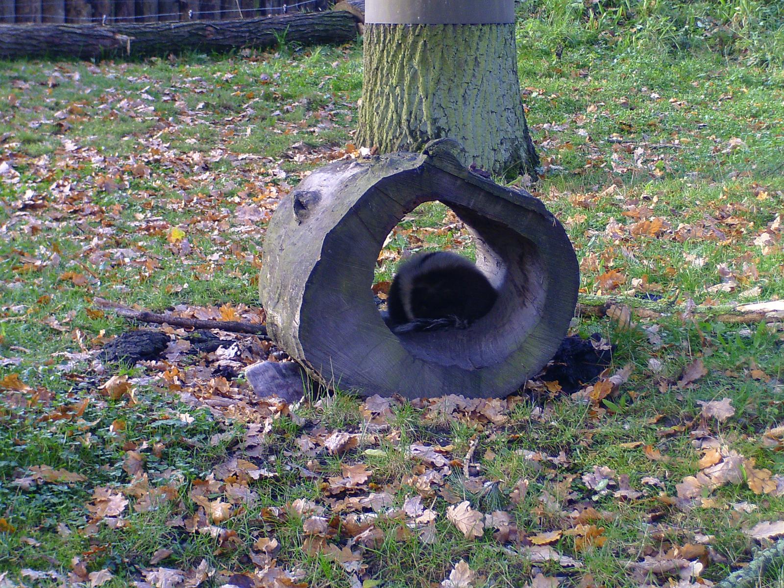Zoom 18.10.08-014.jpg